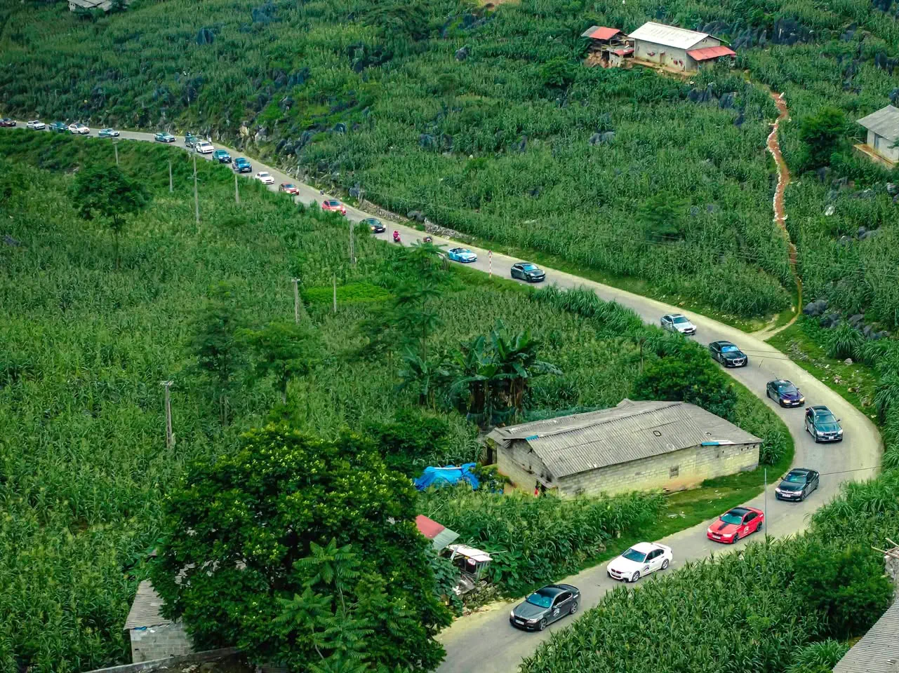 THACO AUTO mang đến hành trình đầy hứng khởi cho khách hàng BMW và MINI